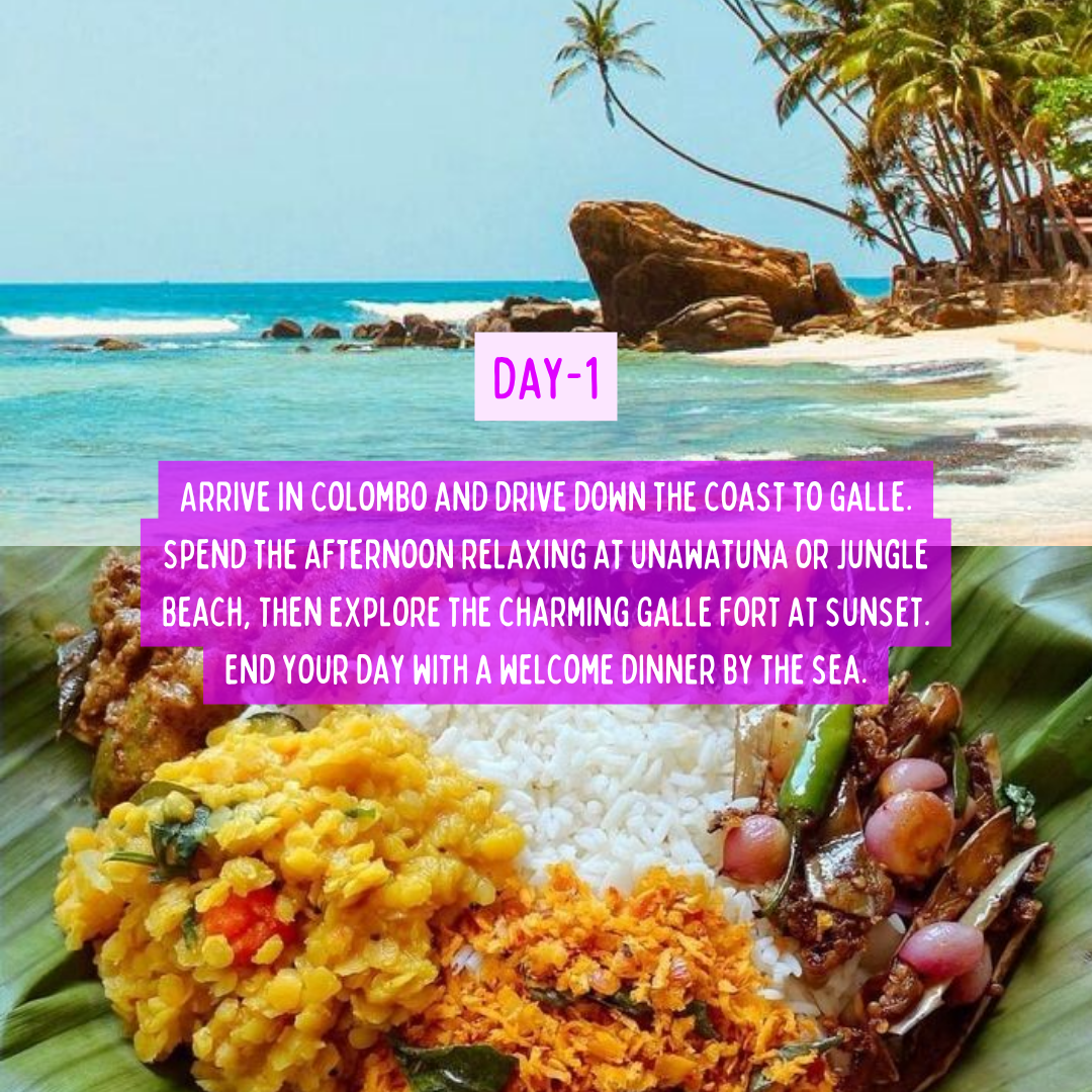 Sri Lanka Diaries