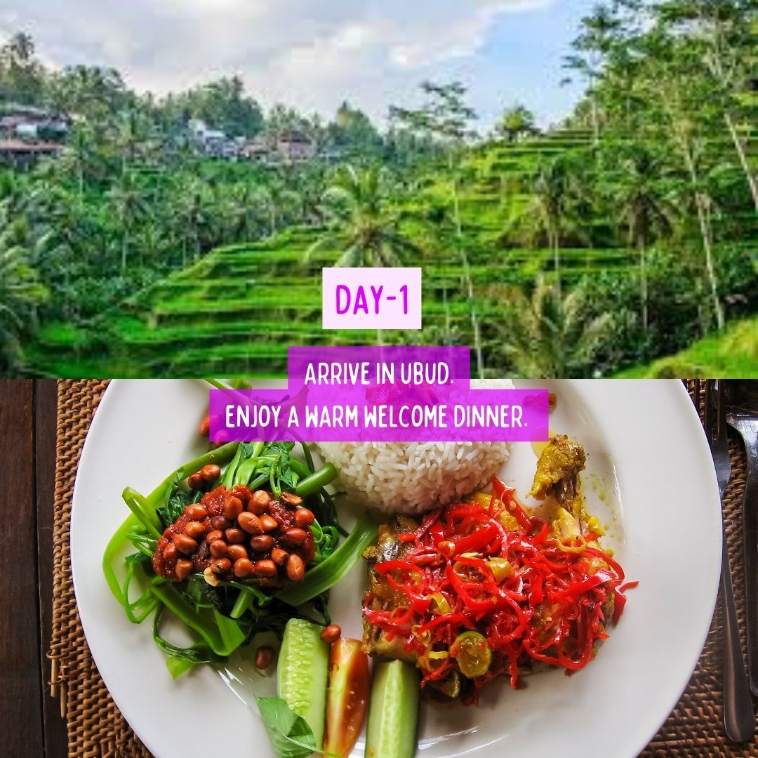Reboot in Bali