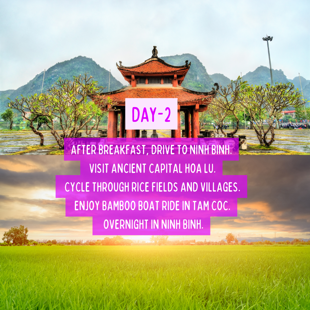 Culinary Voyage: Vietnam