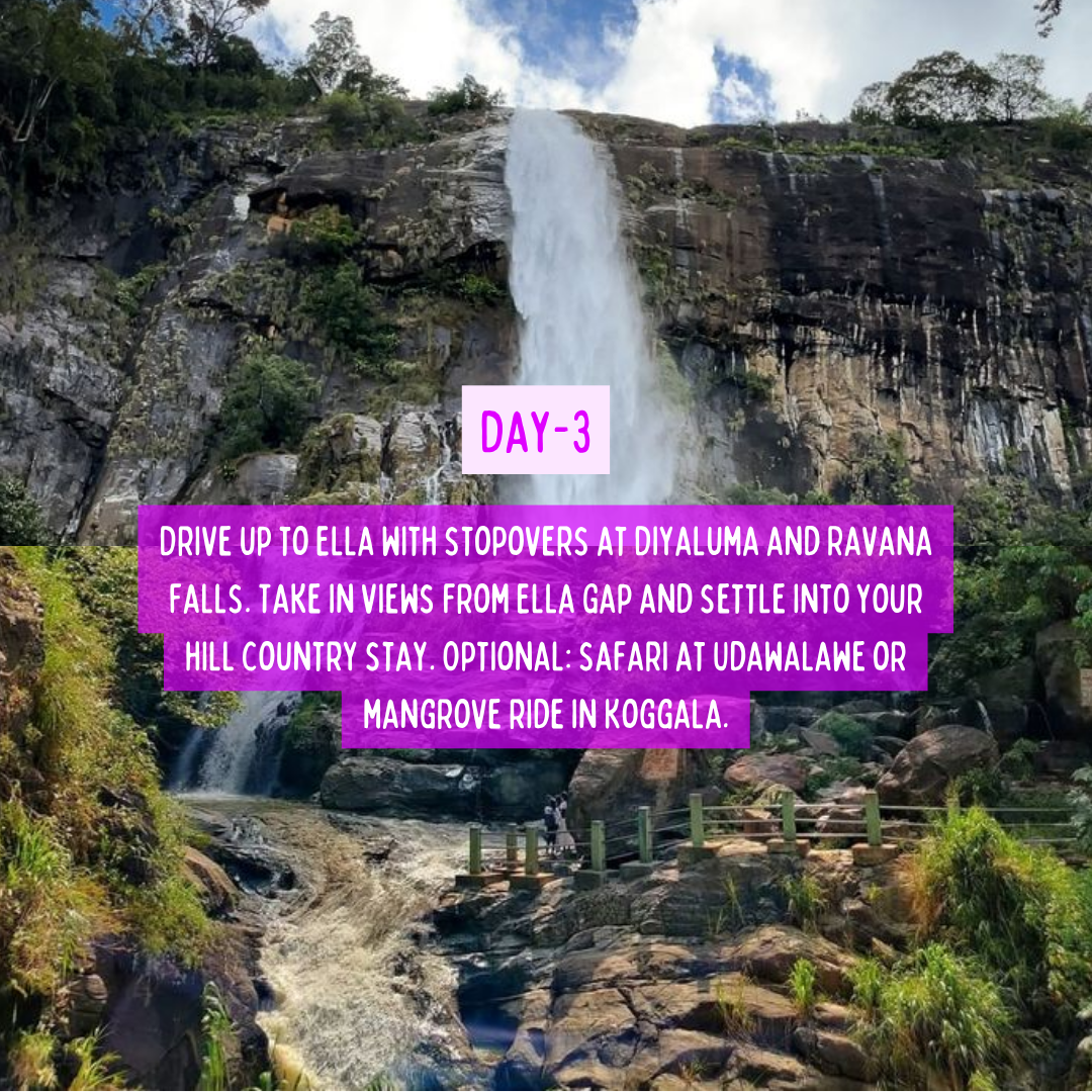 Lanka Diaries