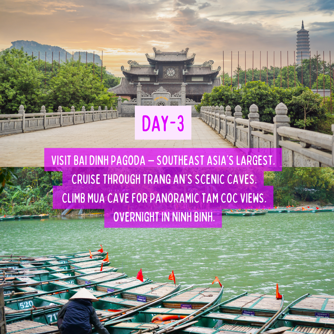 Savour Vietnam