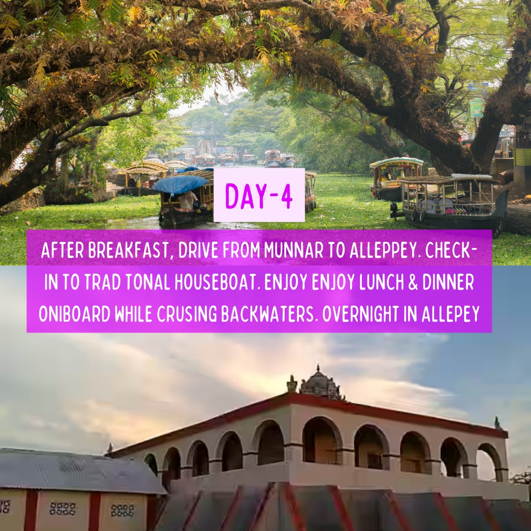 Kerala Unplugged
