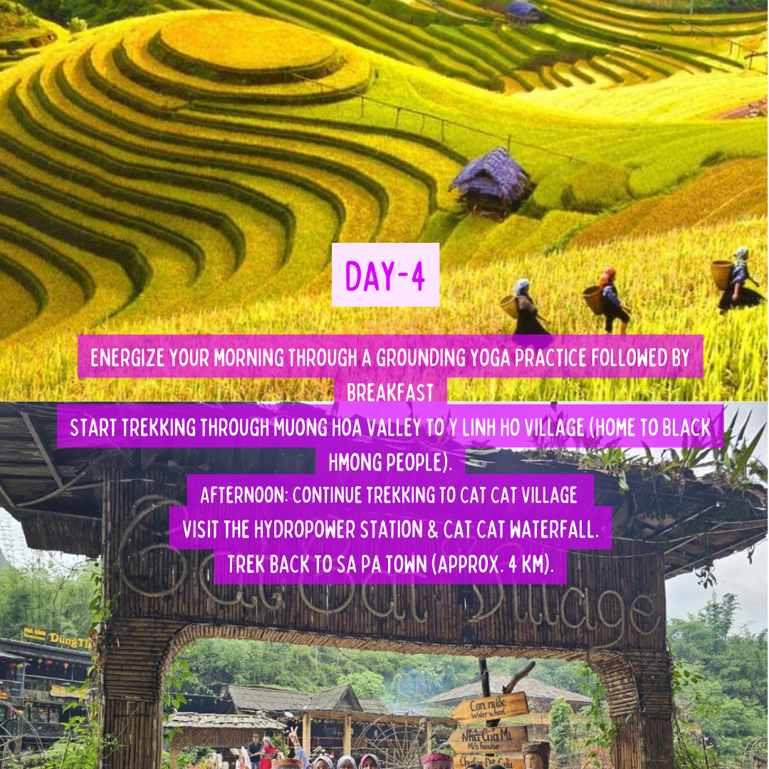 Vietnam Unveiled