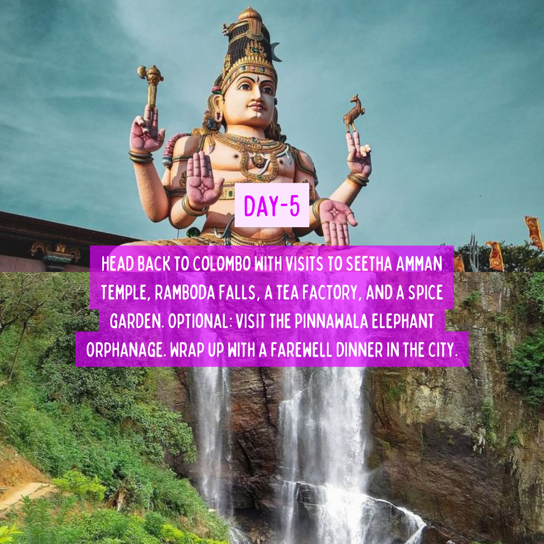 Sri Lanka Diaries