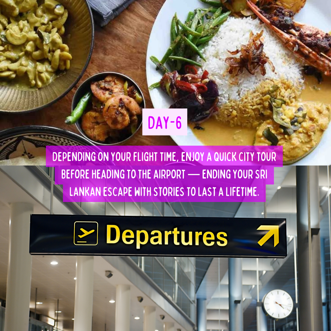 Sri Lanka Diaries