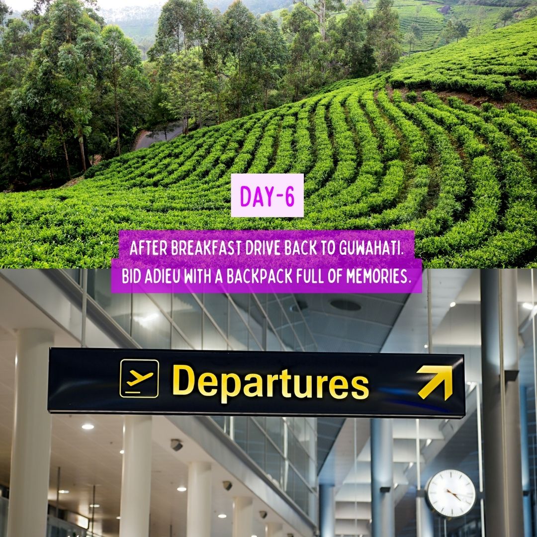 Cloud & Canvas Retreat in Meghalaya