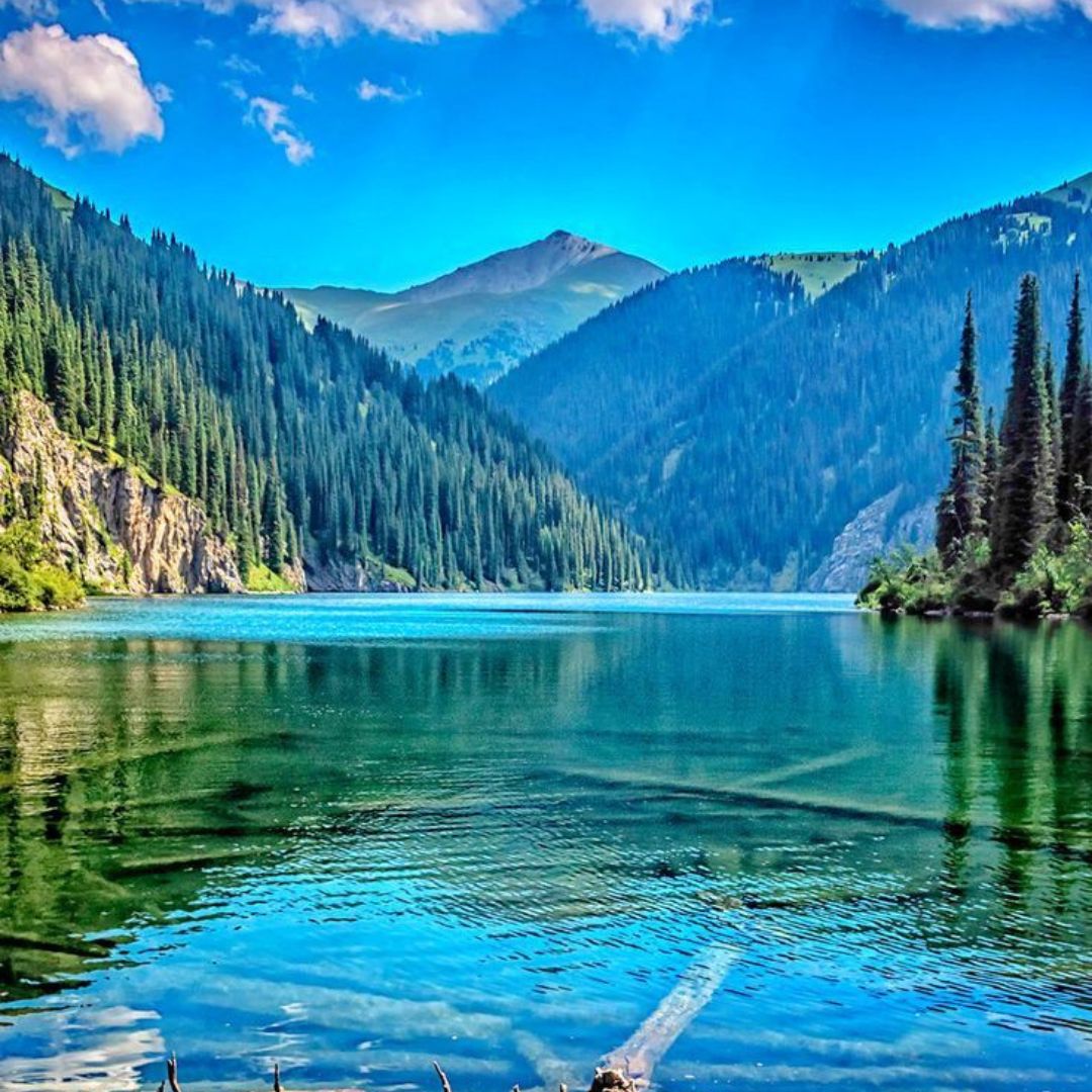 Wander Wild with Pranay