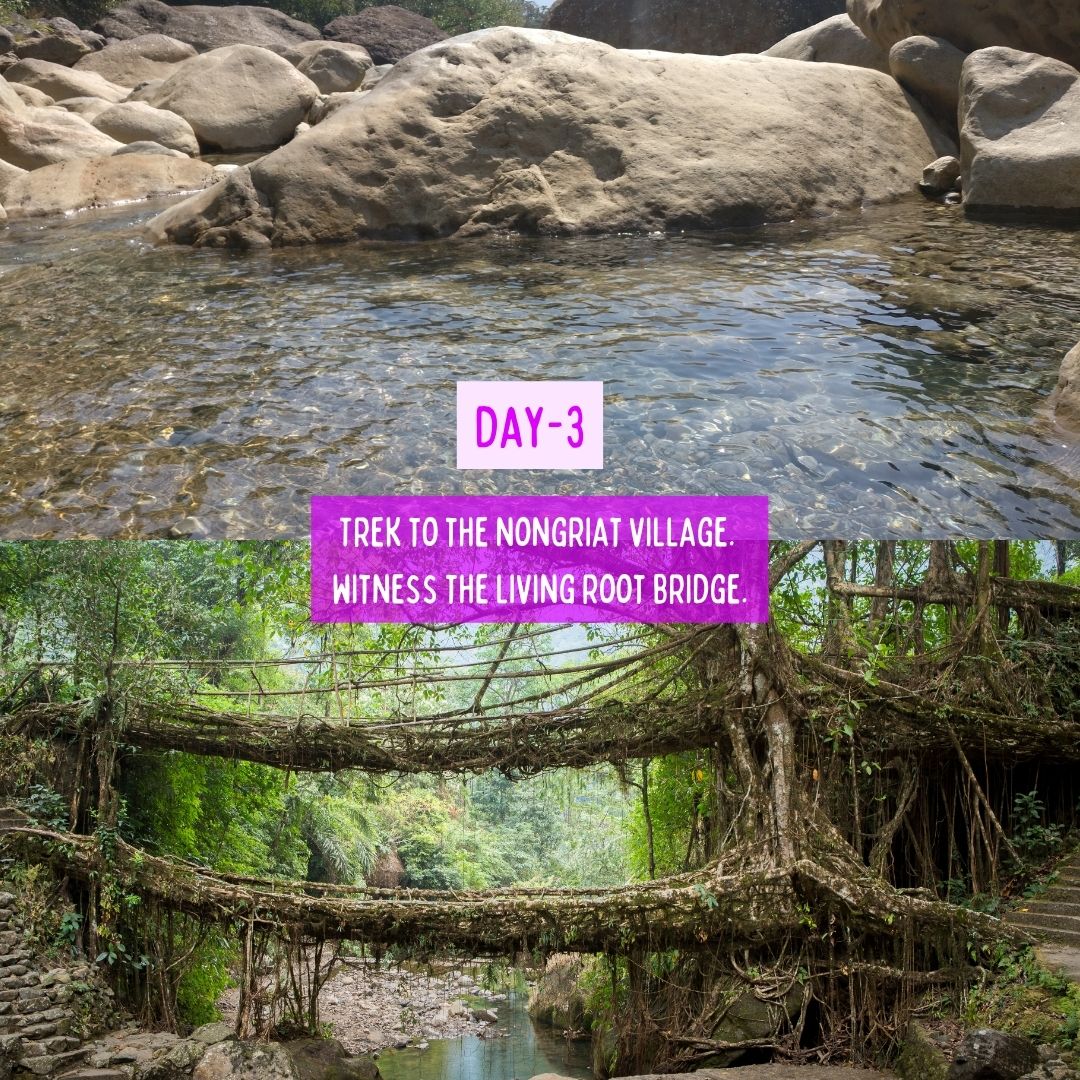 Cloud & Canvas Retreat in Meghalaya
