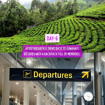 Cloud & Canvas Retreat in Meghalaya