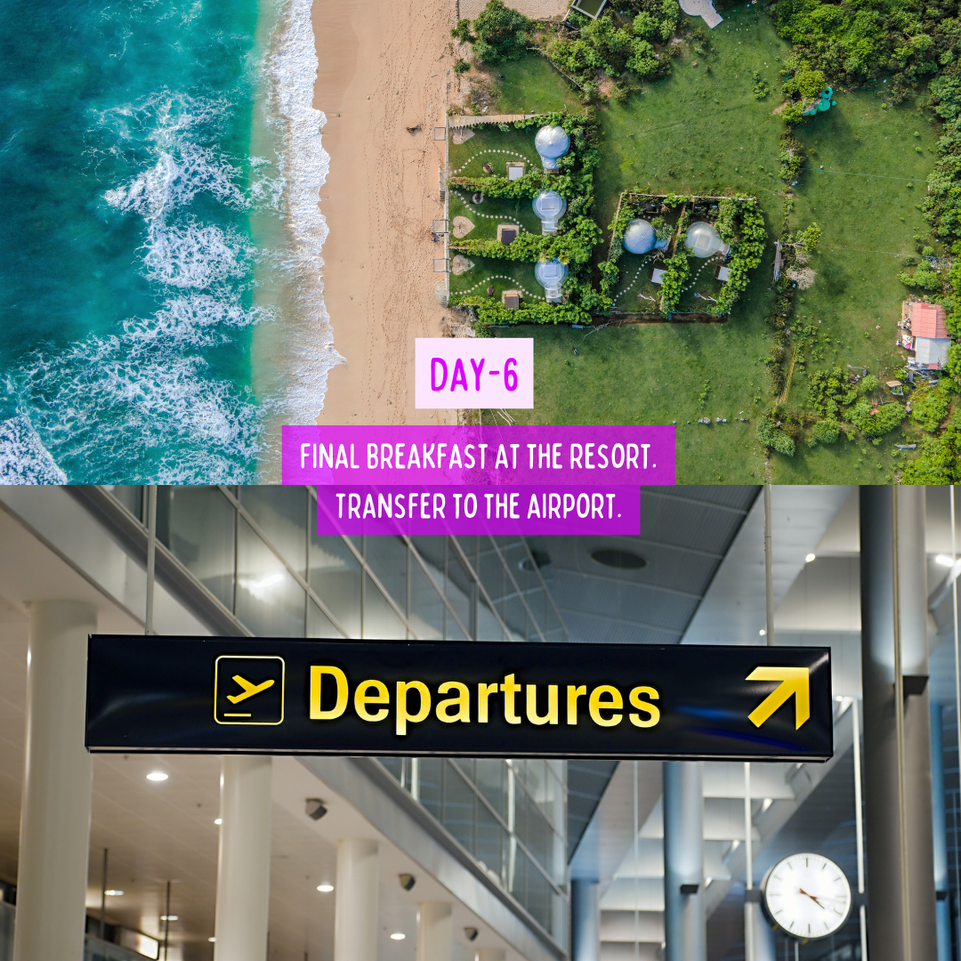 Bali Diaries with Nancy