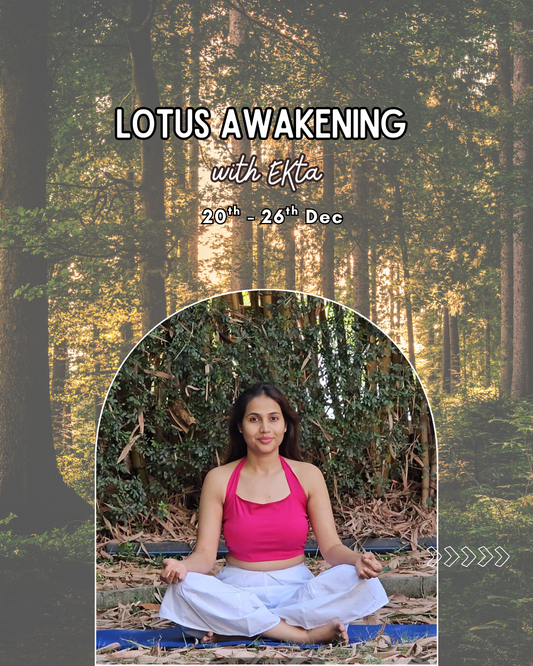 Lotus Awakening